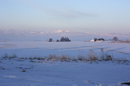 Longs Peak Winter